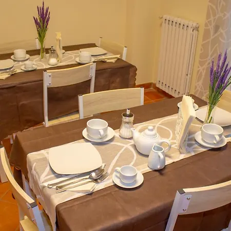 Xenia 3*